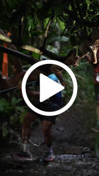 BIB:  <button type="button" onclick="openModal(27557416)" class="btn btn-primary btn-sm float-right" data-toggle="modal" data-target=".modal-high-quality">
                <i class="fa fa-download"></i> Download
                </button>